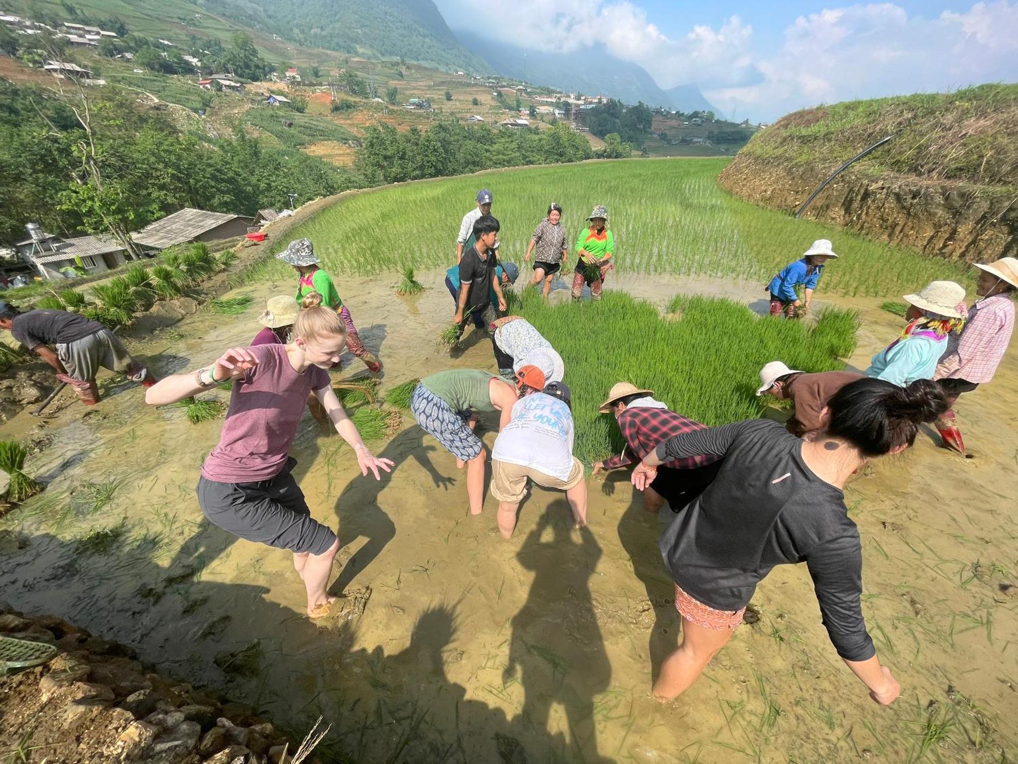 Tavan Chopai Homestay Sa Pa Extérieur photo
